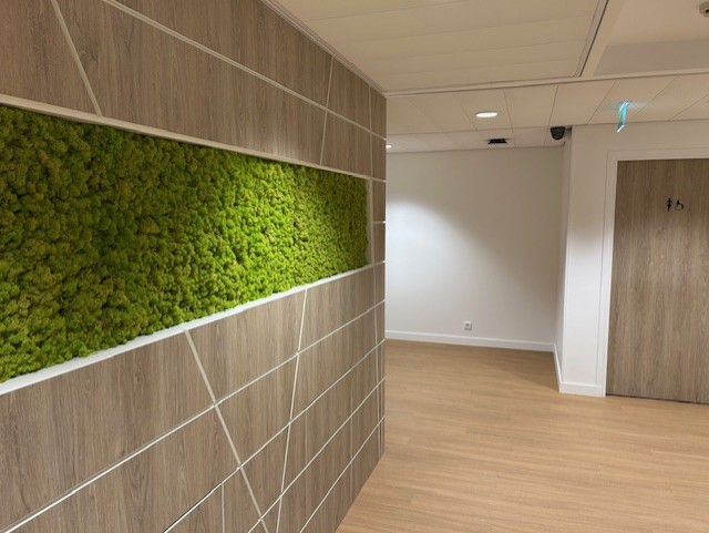 Photo 11 996bff7f-c1c8-401a-be49-8d8b79ff84f4