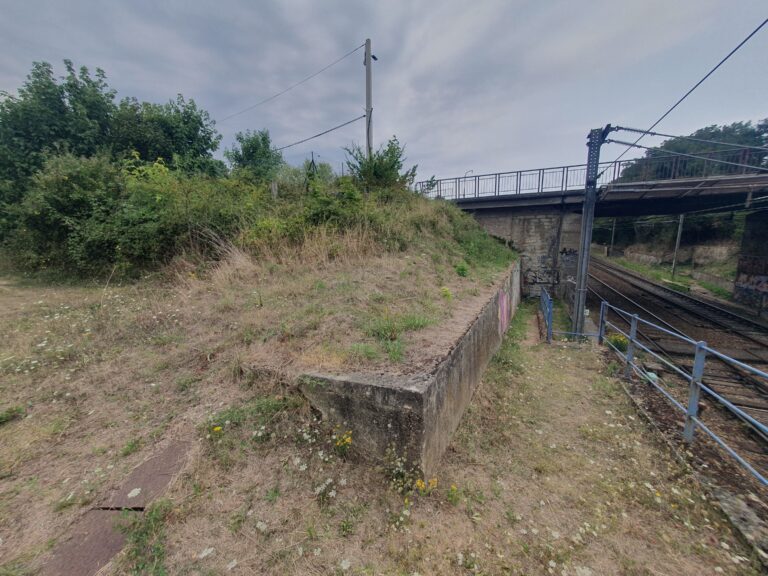 Photo 3 20250818_150544 (1)