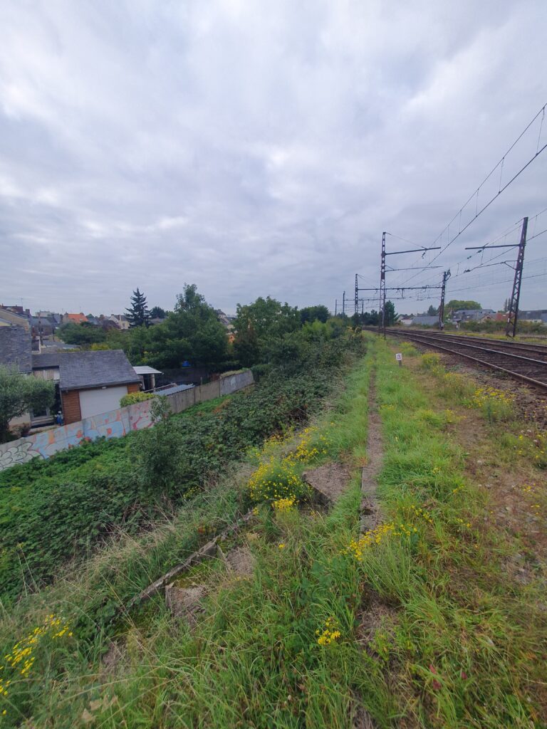 Photo 4 20251009_100559 (1)